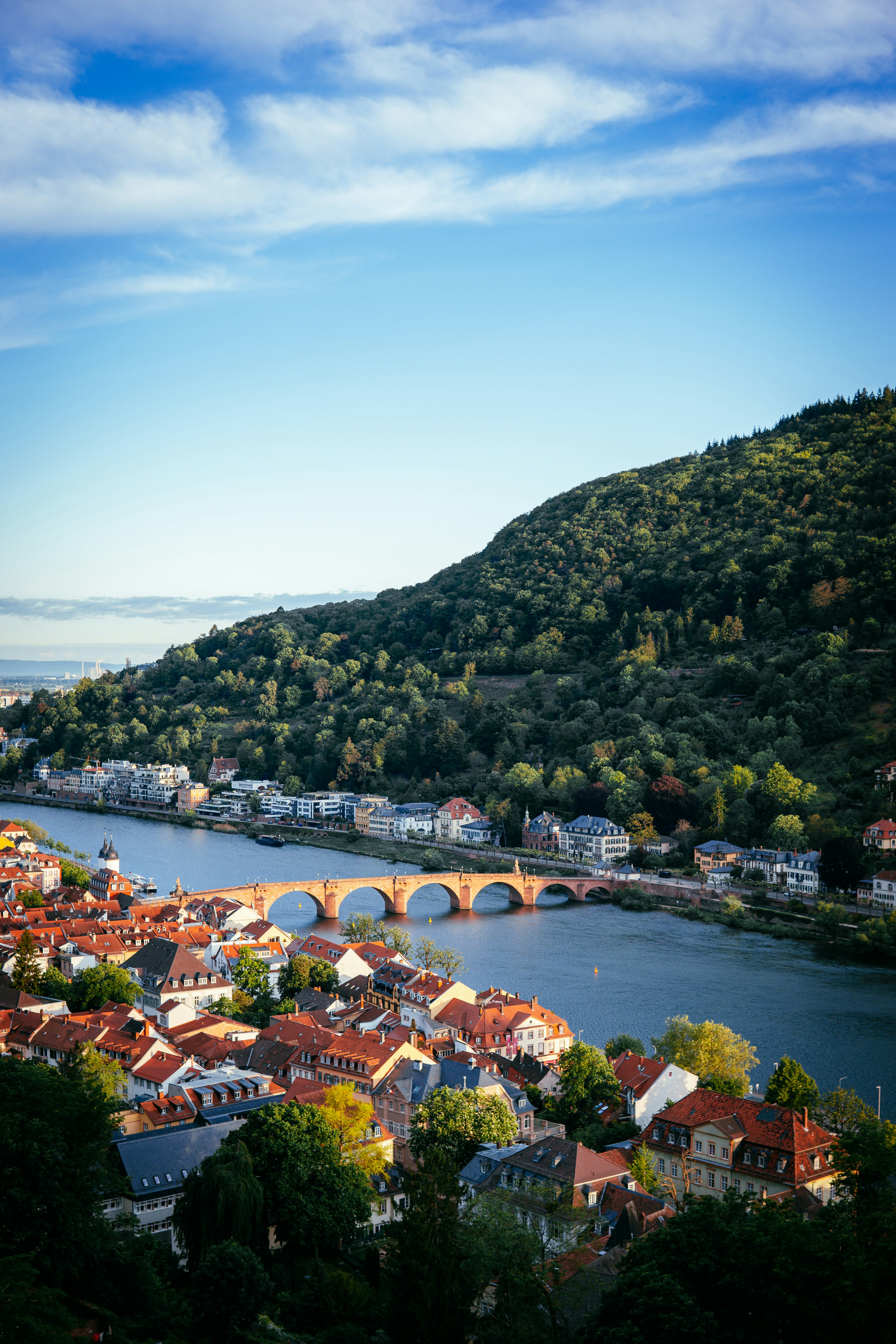Les fleuves d’Europe centrale, du Rhin à la Moselle