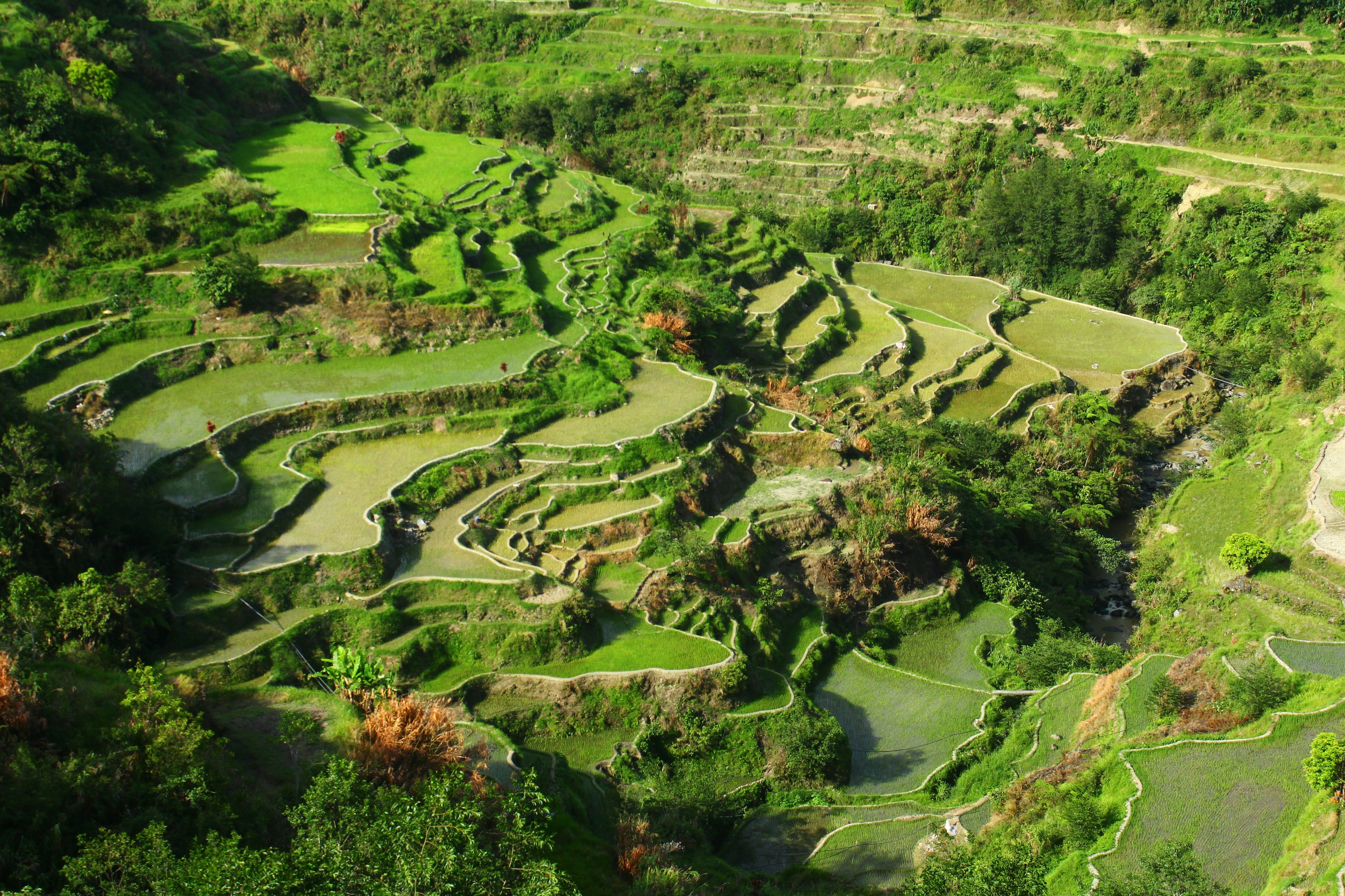 Les Philippines, de Manille aux rizières de Banaue