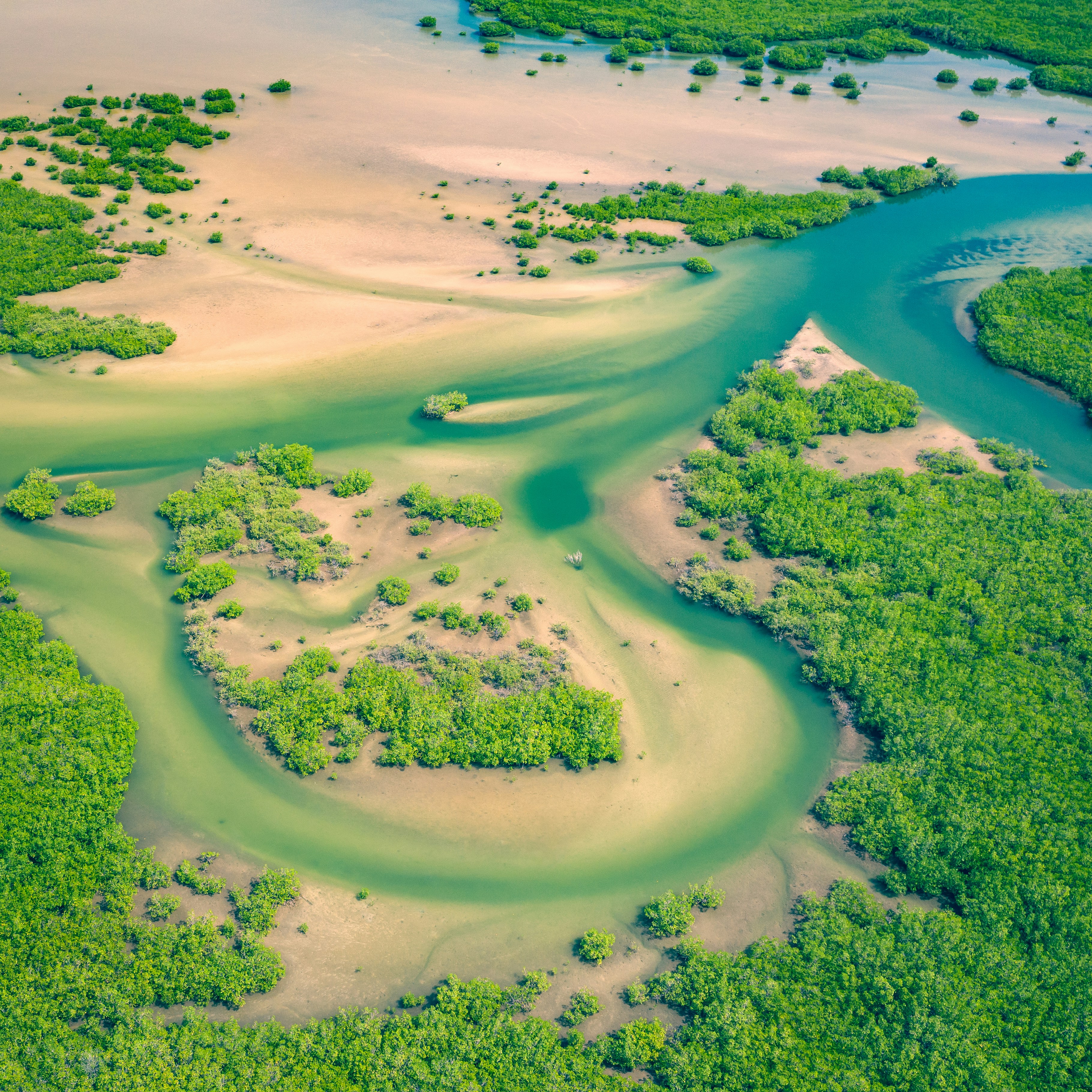 Le Sénégal, de Dakar à la Casamance par le Sine Saloum