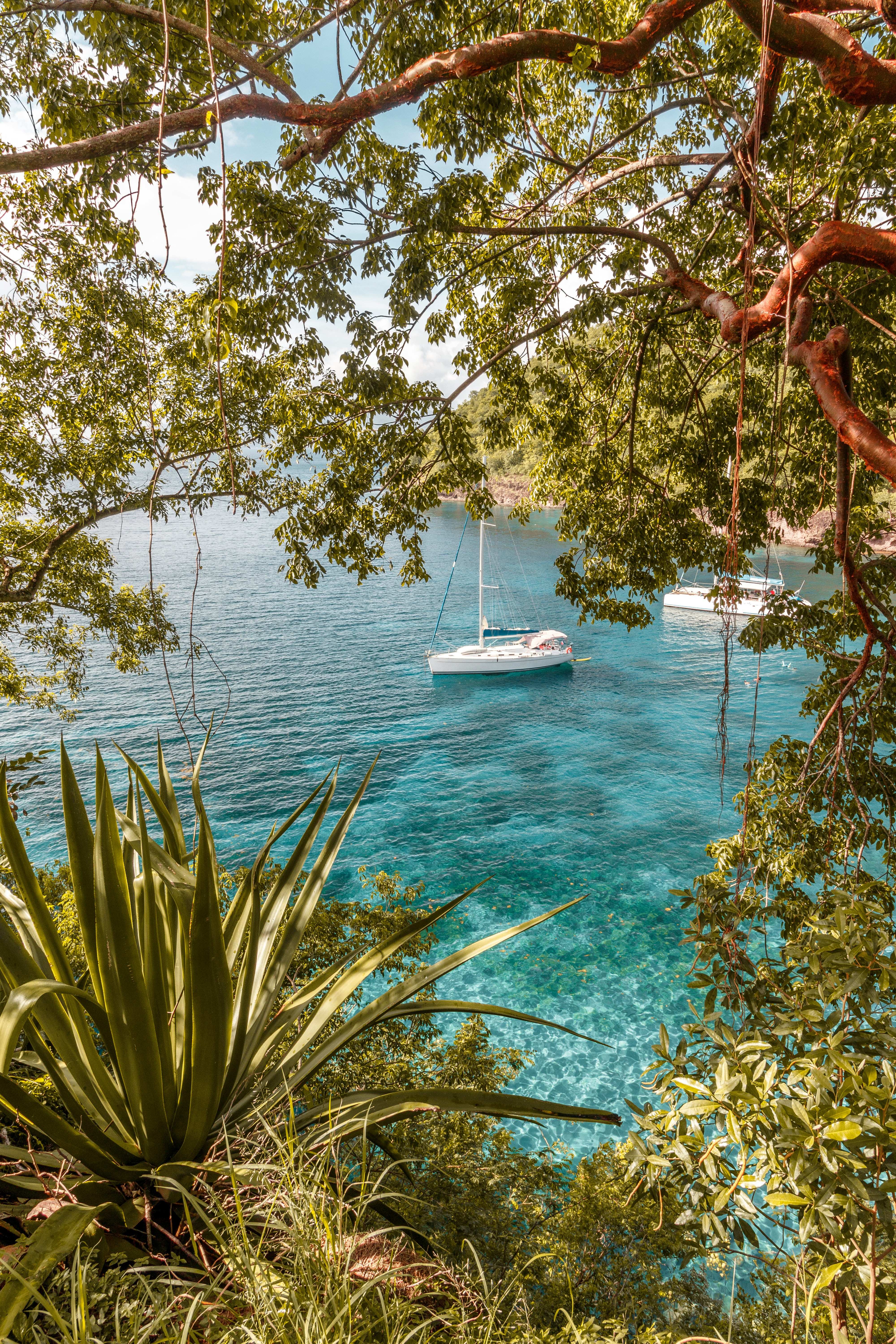 Guadeloupe et Martinique, d’une île à l’autre