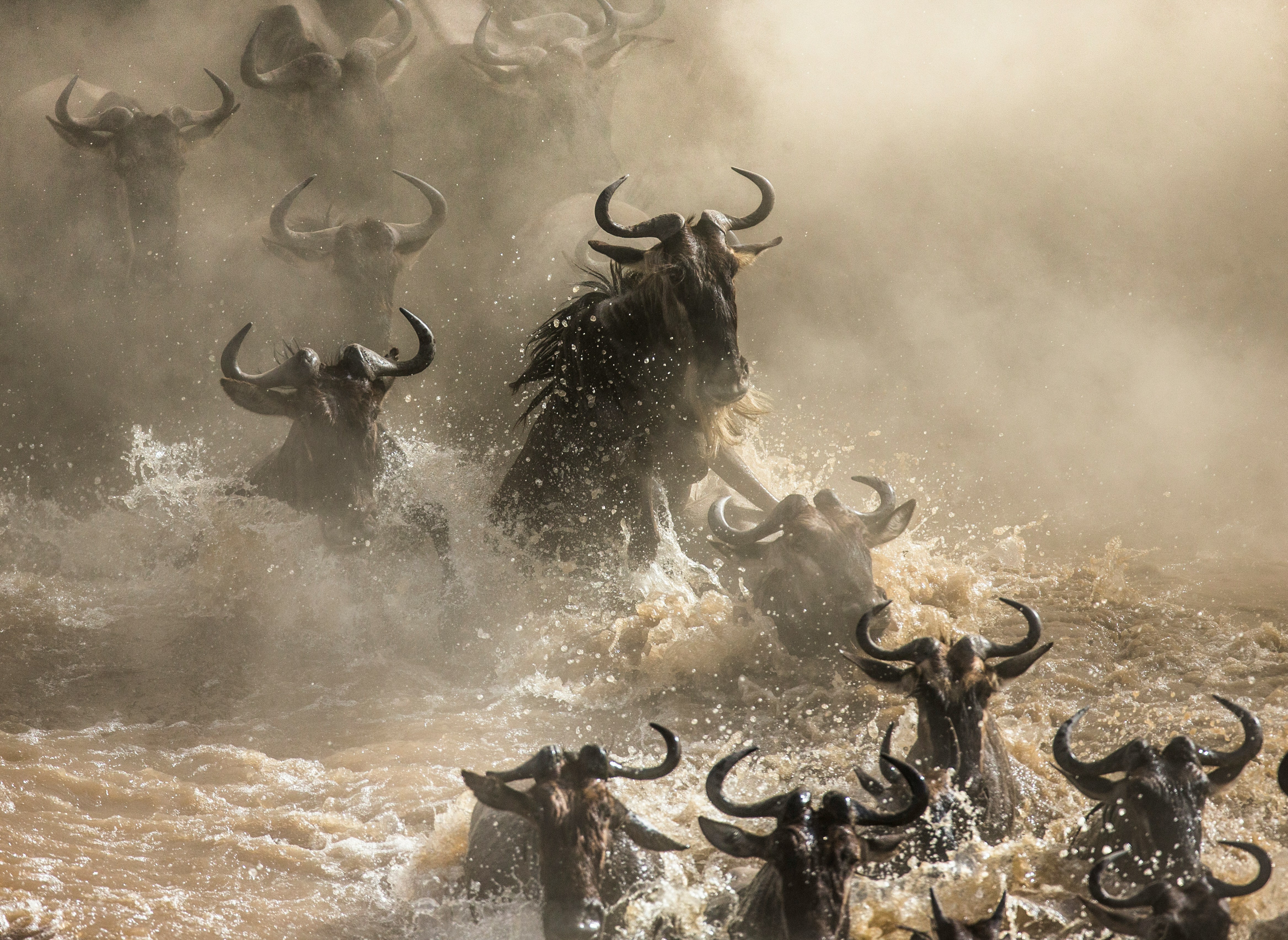 La Tanzanie, de la savane à l’océan Indien