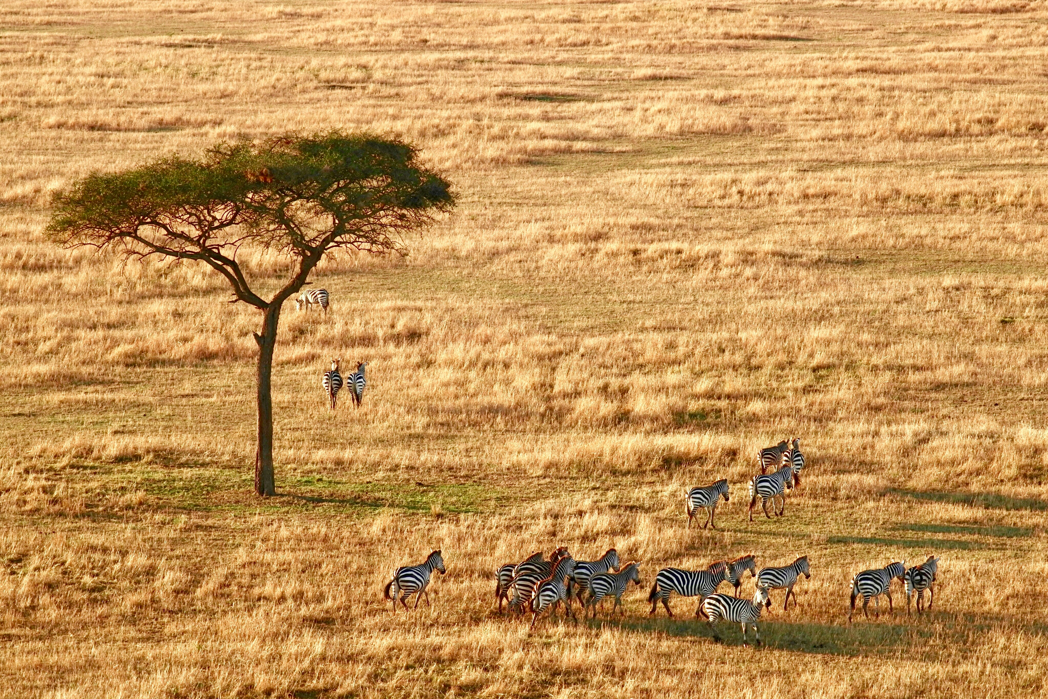 La Tanzanie, du cratère à l’océan