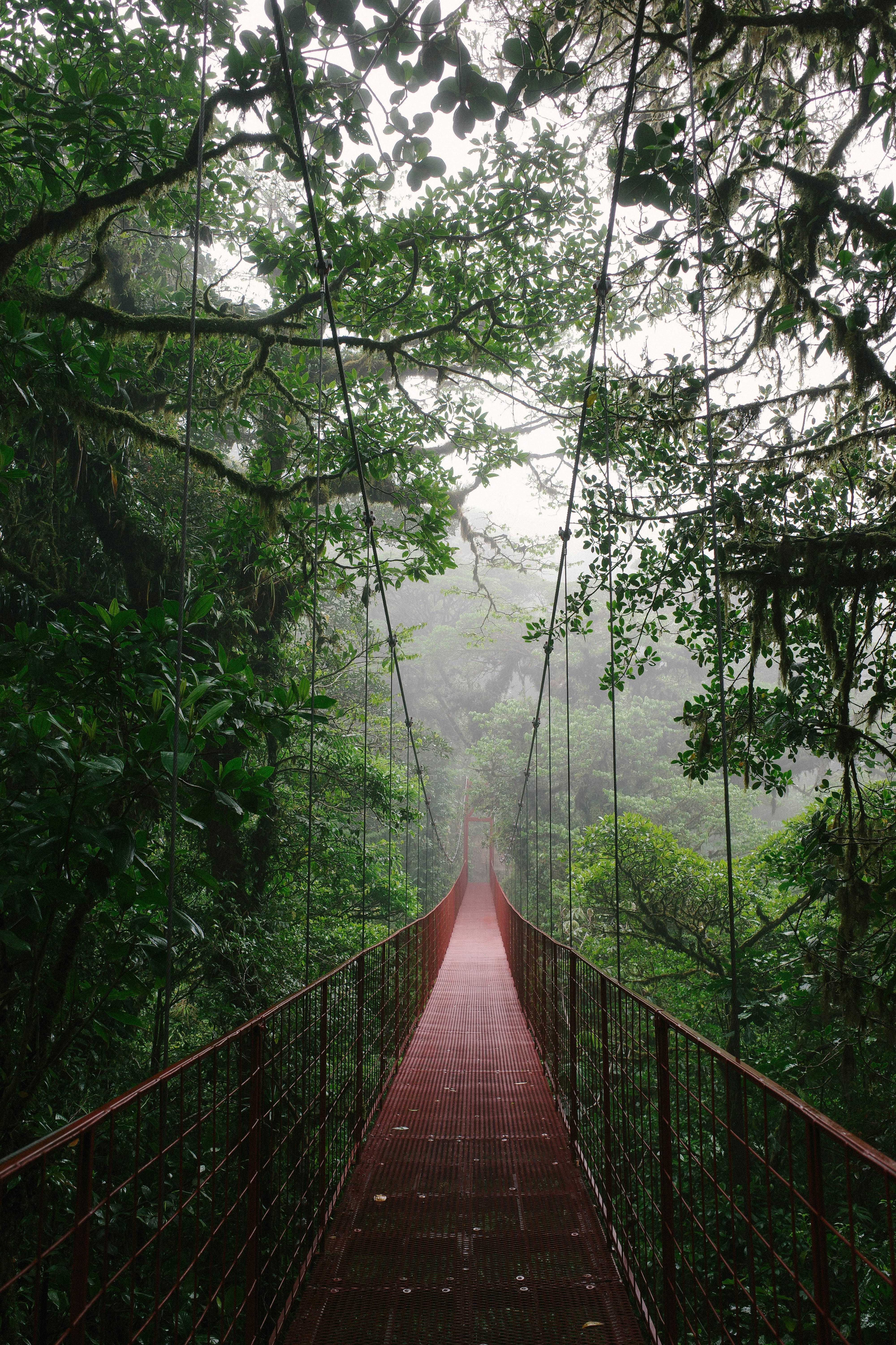 Le Costa Rica, de Tortuguero aux rivages du Pacifique