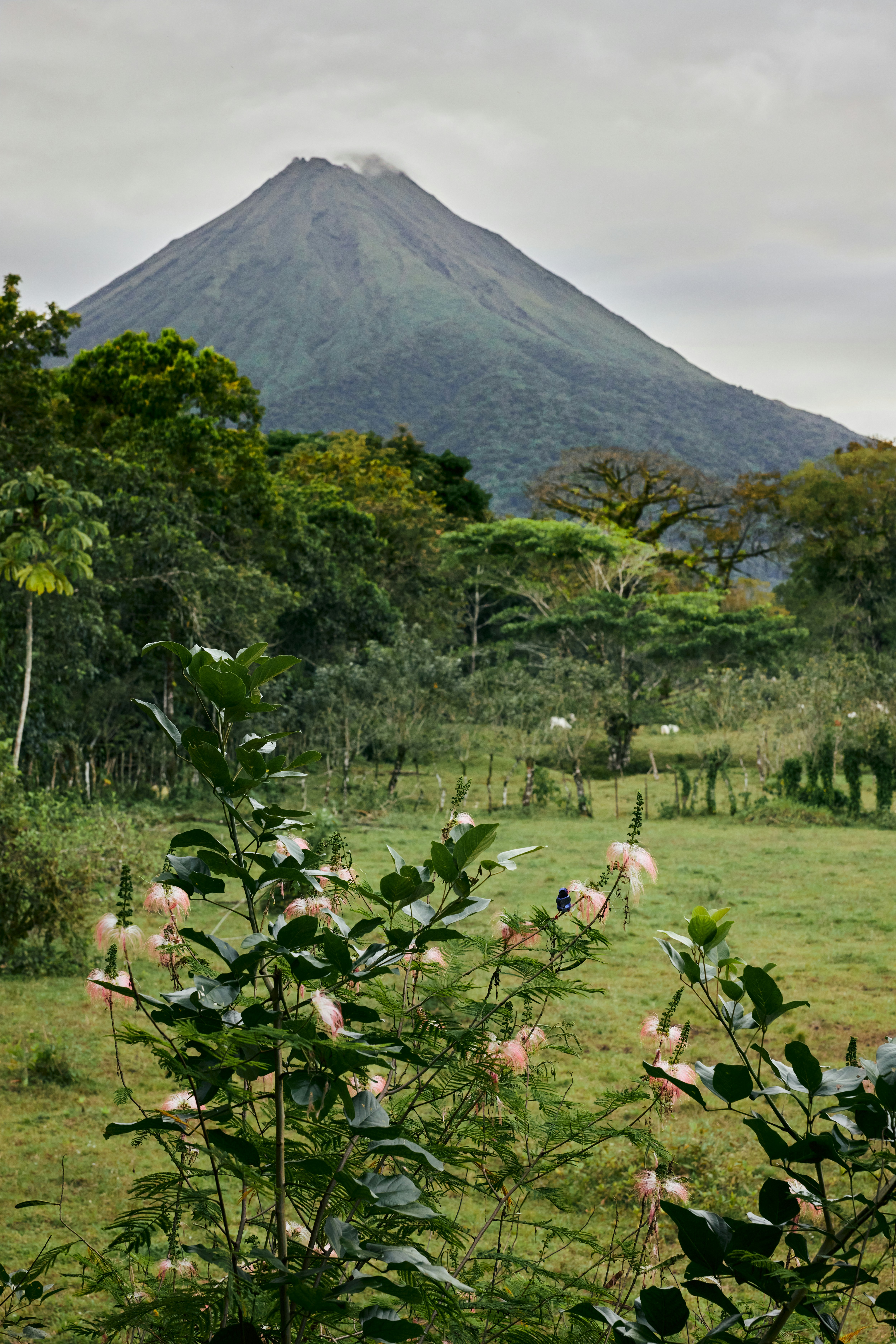 Le Costa Rica, entre volcans, forêts et rencontres