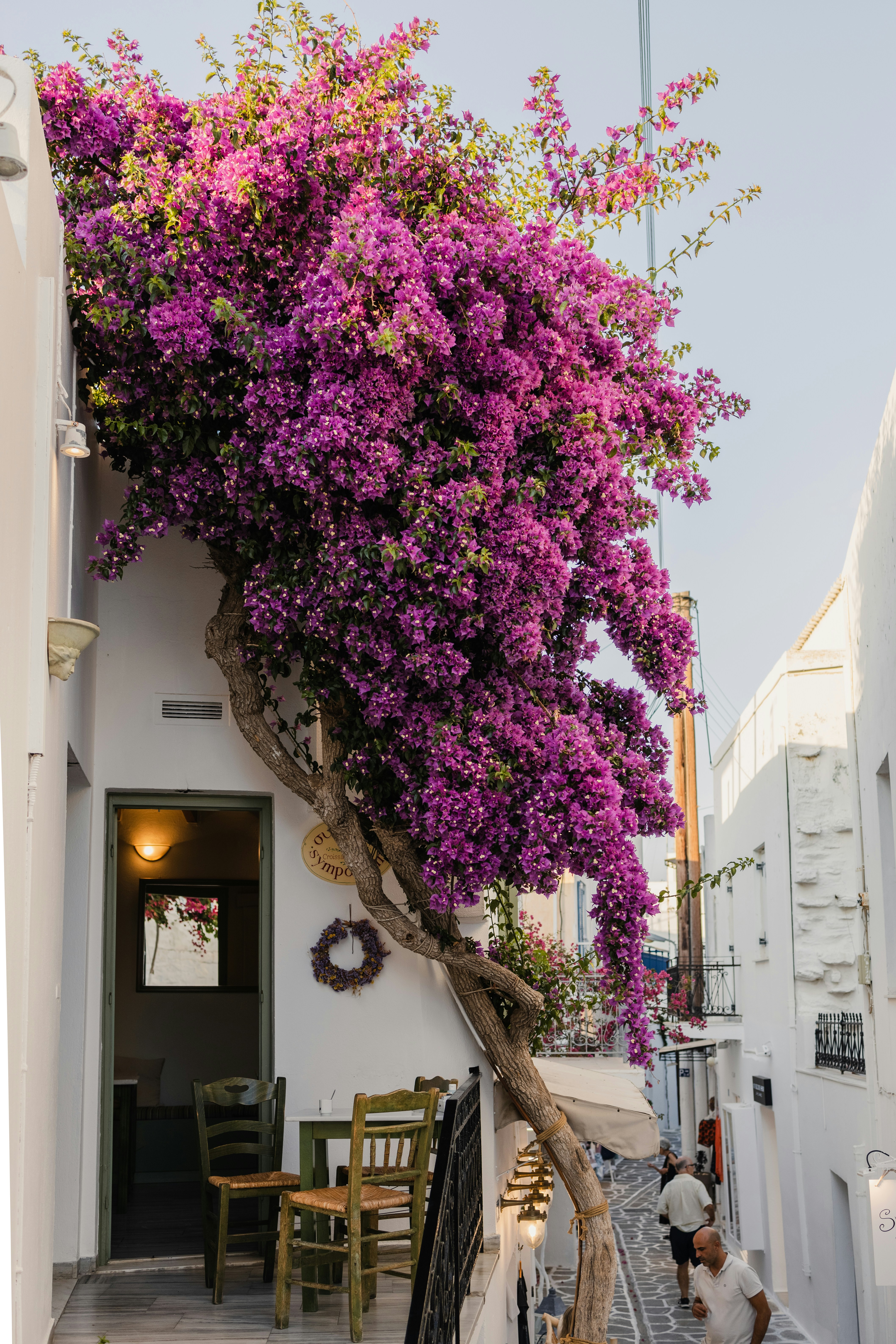 Les Cyclades, de Santorin à Mykonos ou Paros