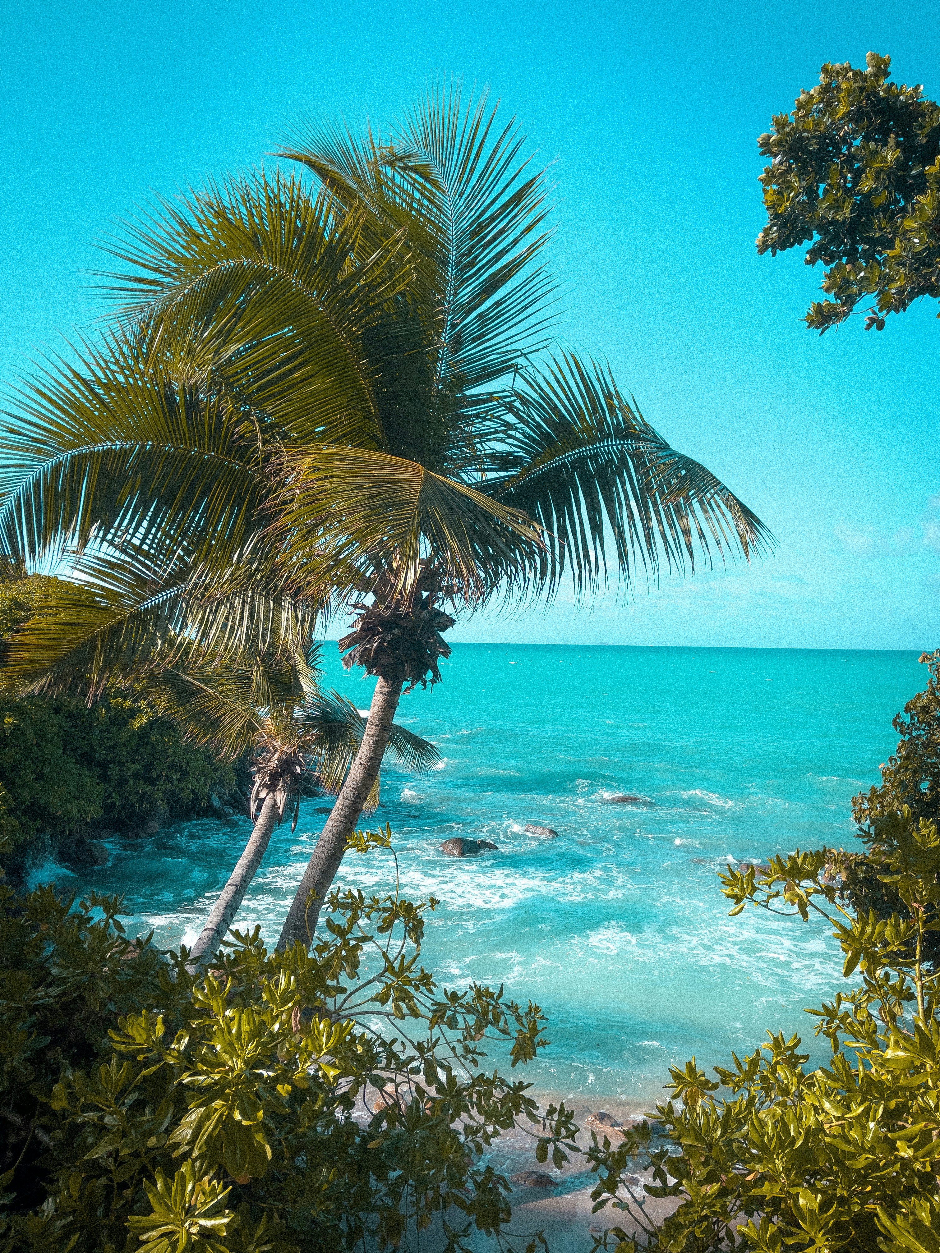 Mahé et Praslin, deux îles entre granit et lagon