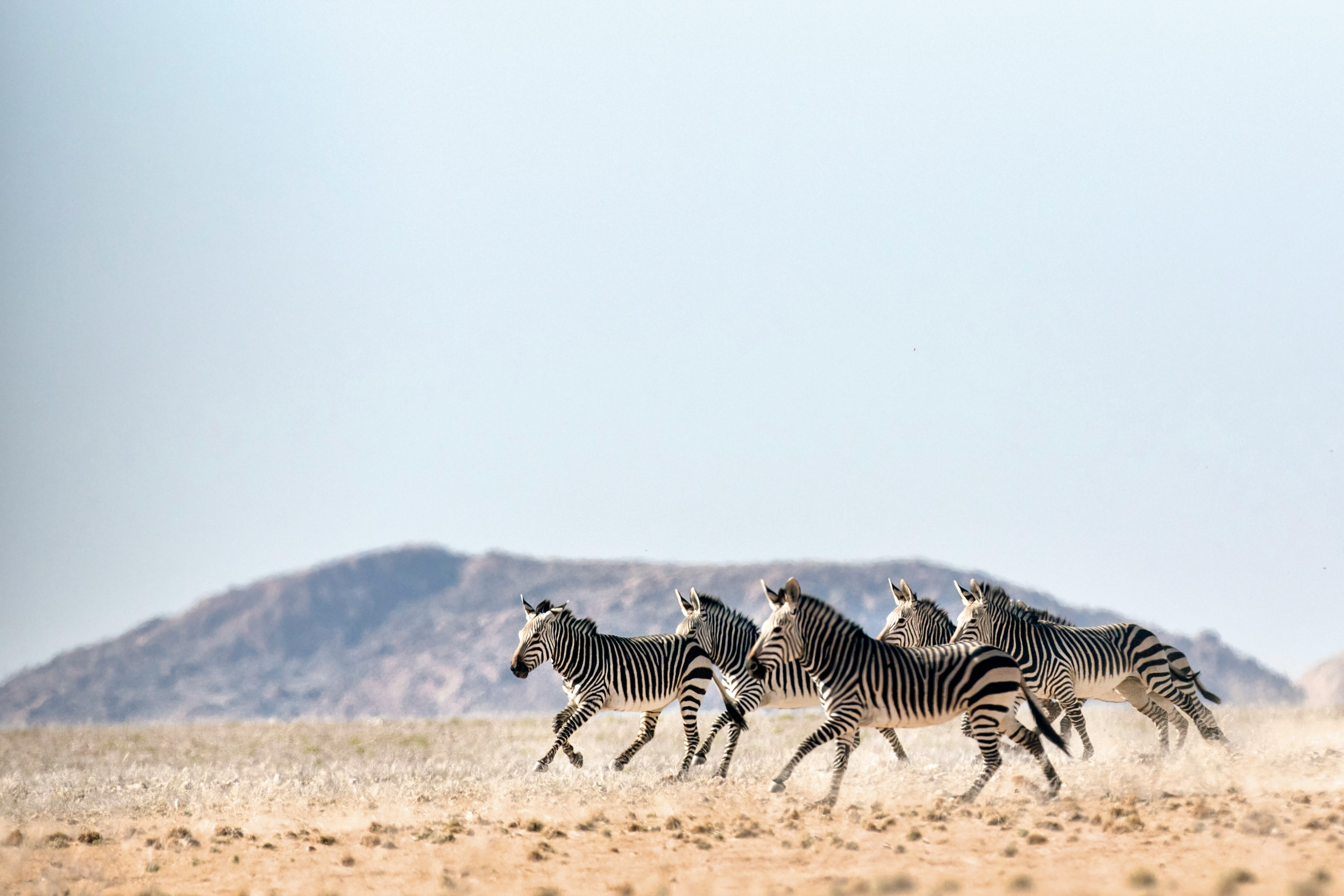 Namibie, de l’Etosha au Fish River Canyon