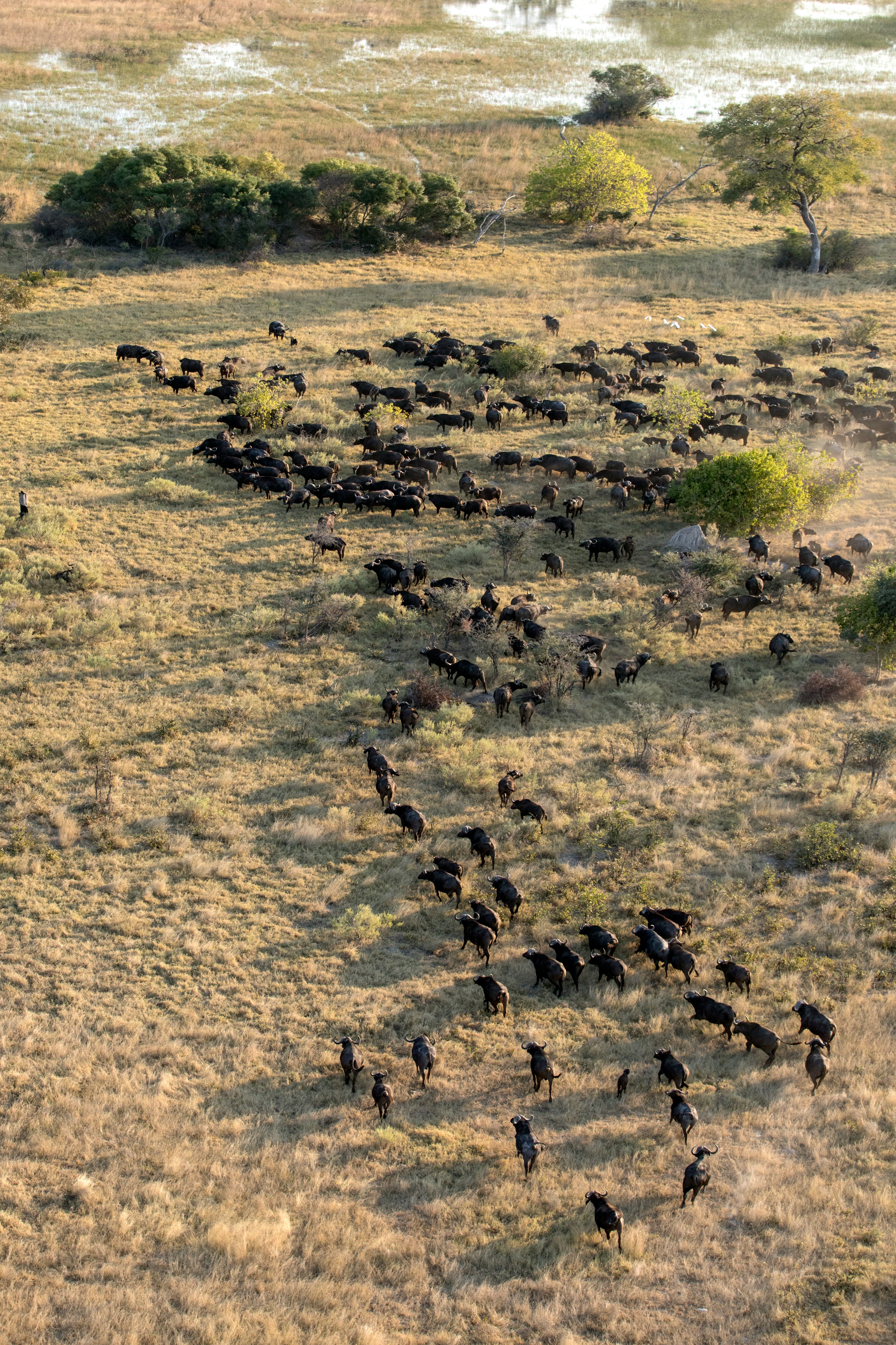 Botswana