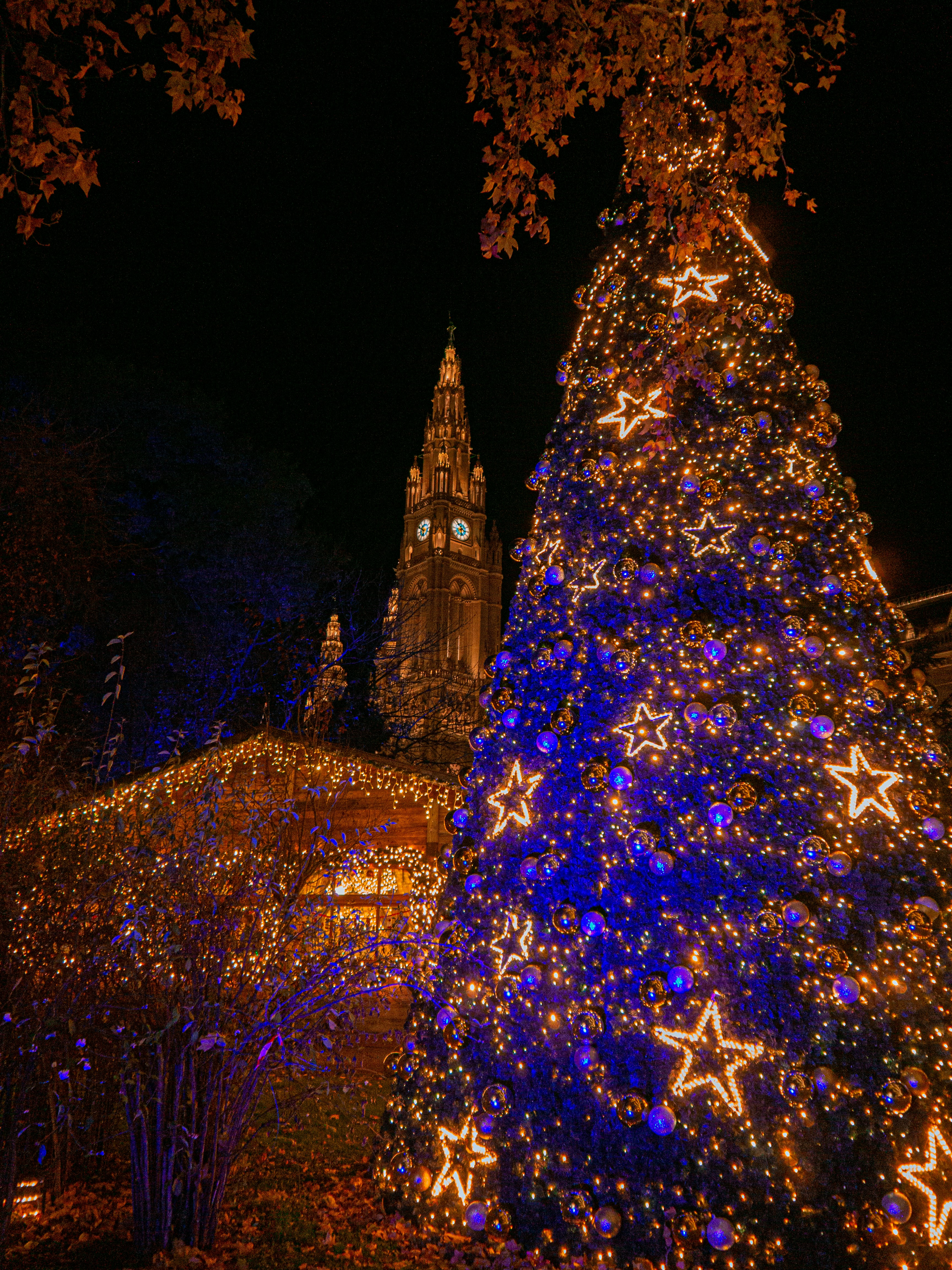 Noël sur le Rhin, entre villages illuminés et vallée romantique