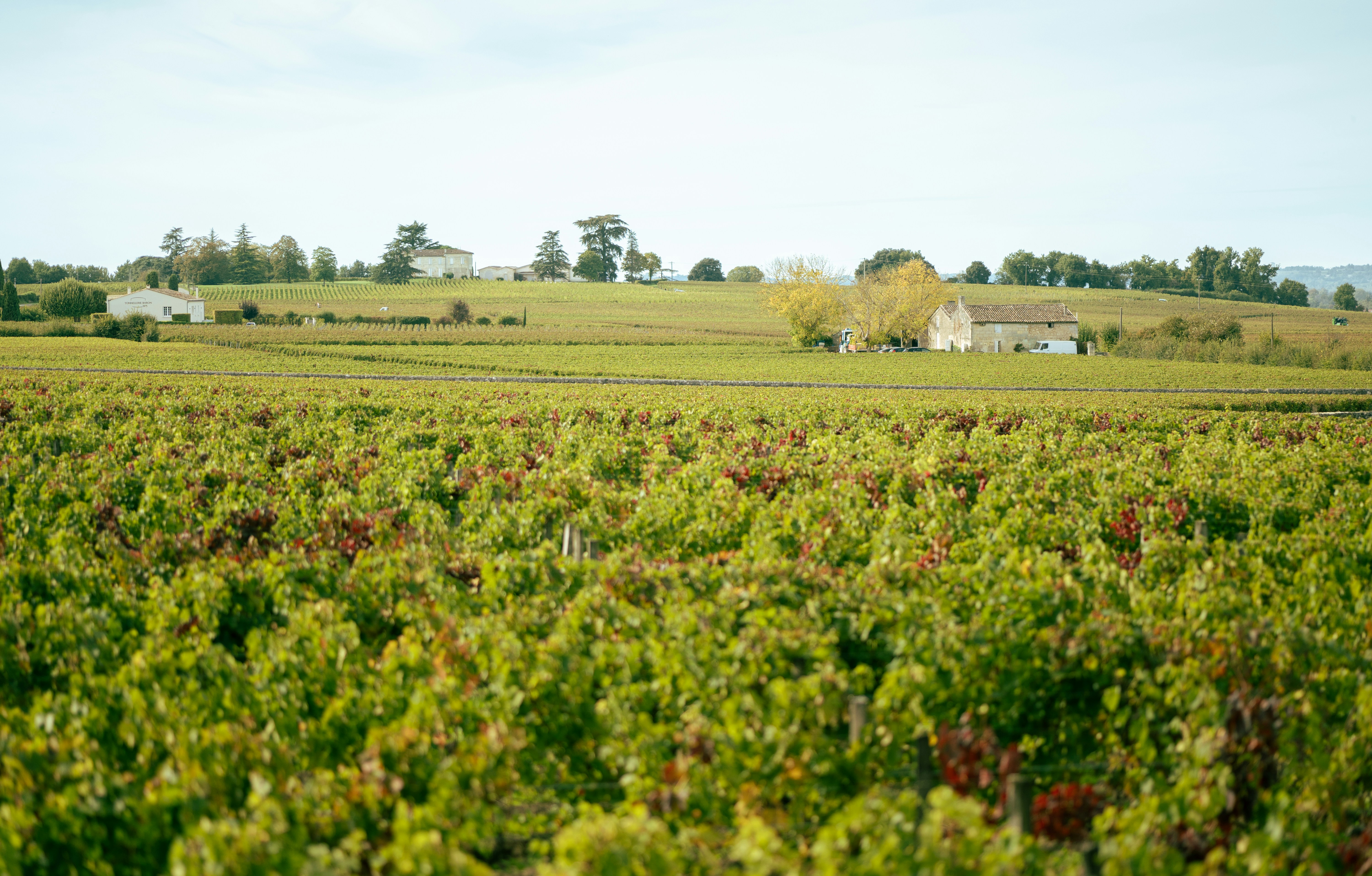 Fêtes de fin d’année sur la Gironde et la Garonne