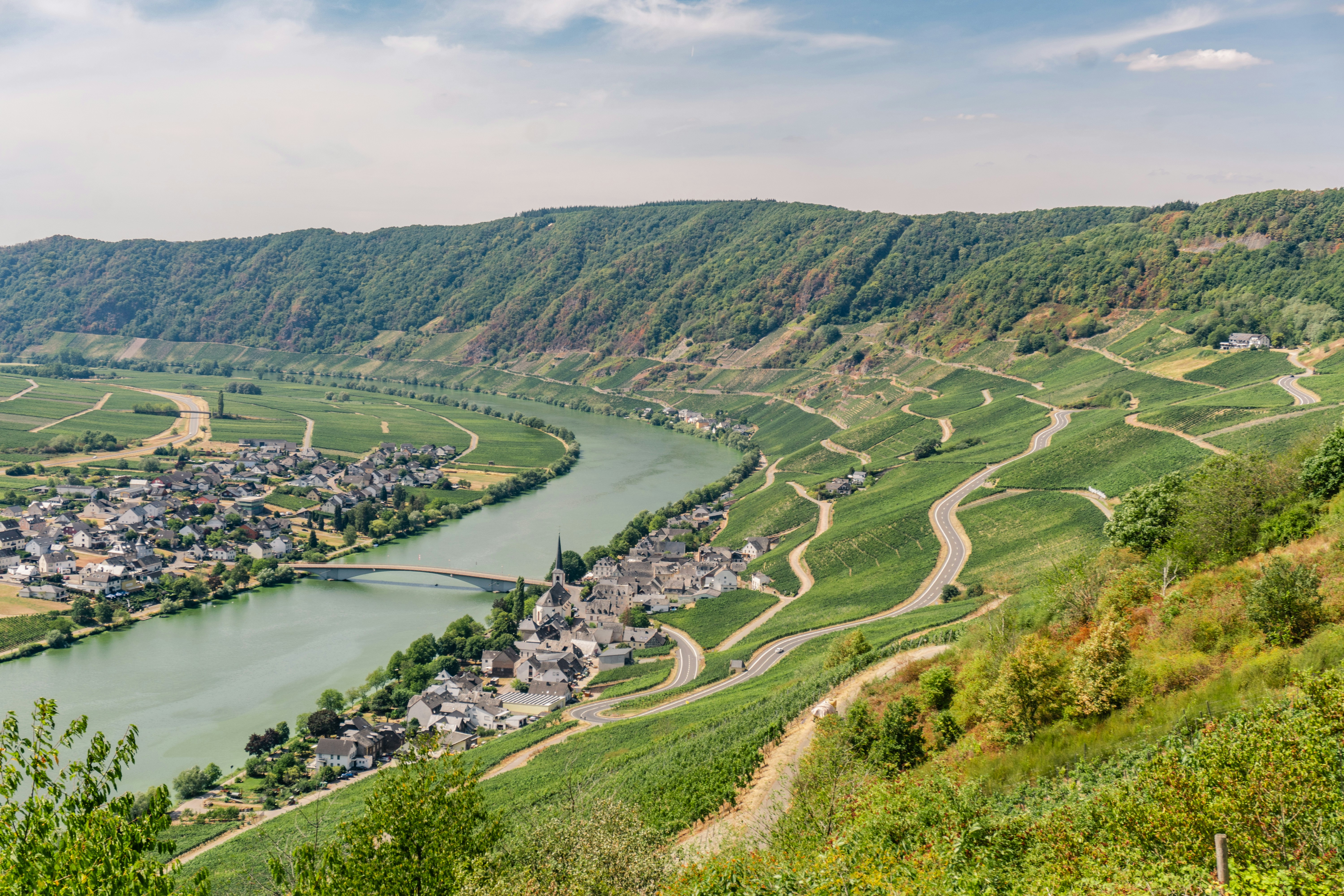 Le Rhin romantique et la Moselle, entre châteaux et vignobles